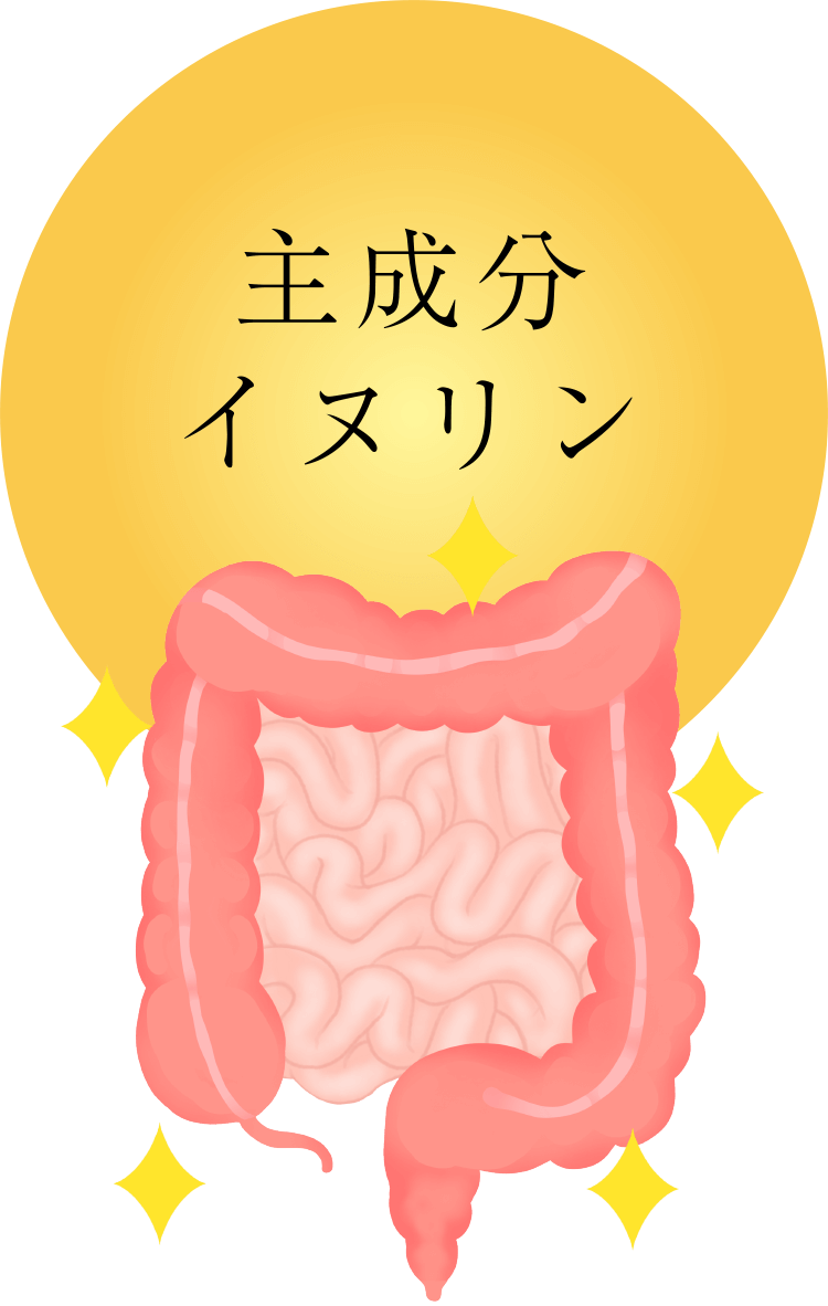 主成分イヌリン