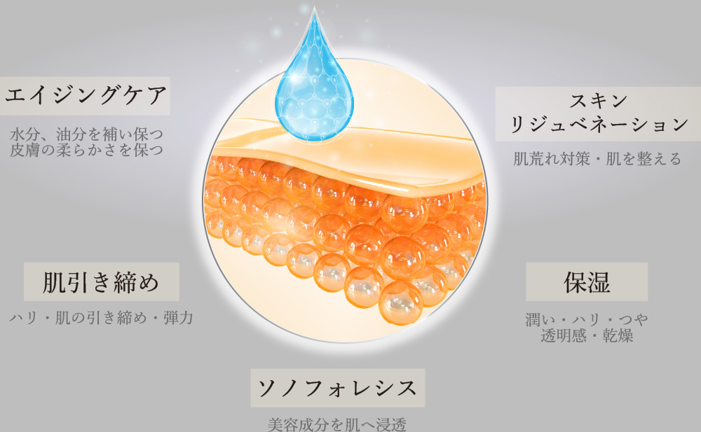 ［エイジングケア］水分、油分を補い保つ皮膚の柔らかさを保つ／［肌引き締め
］ハリ・肌の引き締め・弾力／［スキンリジュベネーション］肌荒れ対策・肌を整える／［保湿］潤い・ハリ・つや・透明感・乾燥／［ソノフォレシス］美容成分を肌へ浸透