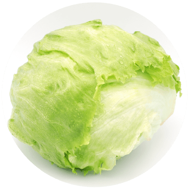 食物繊維