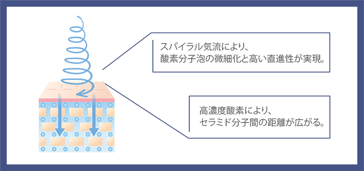 美容成分 デリバリーシステム